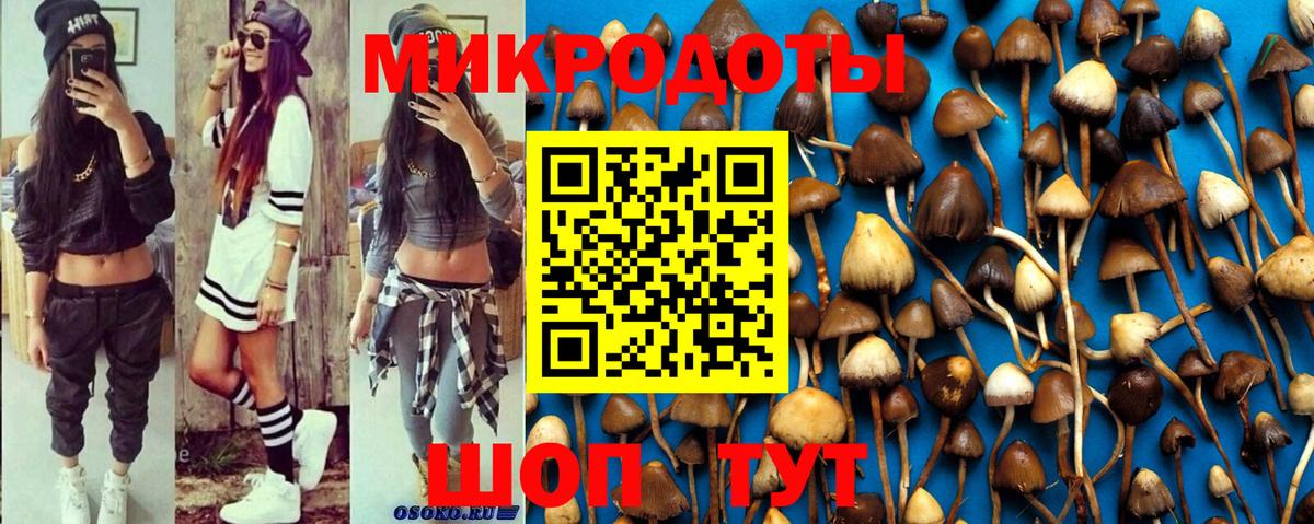 Галлюциногенные грибы GOLDEN TEACHER  Галлюциногенные грибы ЛСД  закладки  Гатчина  Вход с VPN 