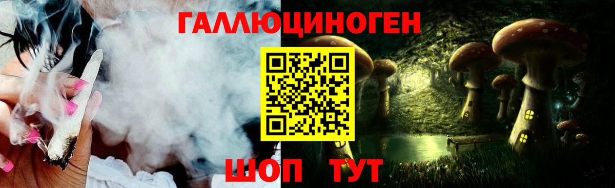 Галлюциногенные грибы MAGIC MUSHROOMS Гатчина